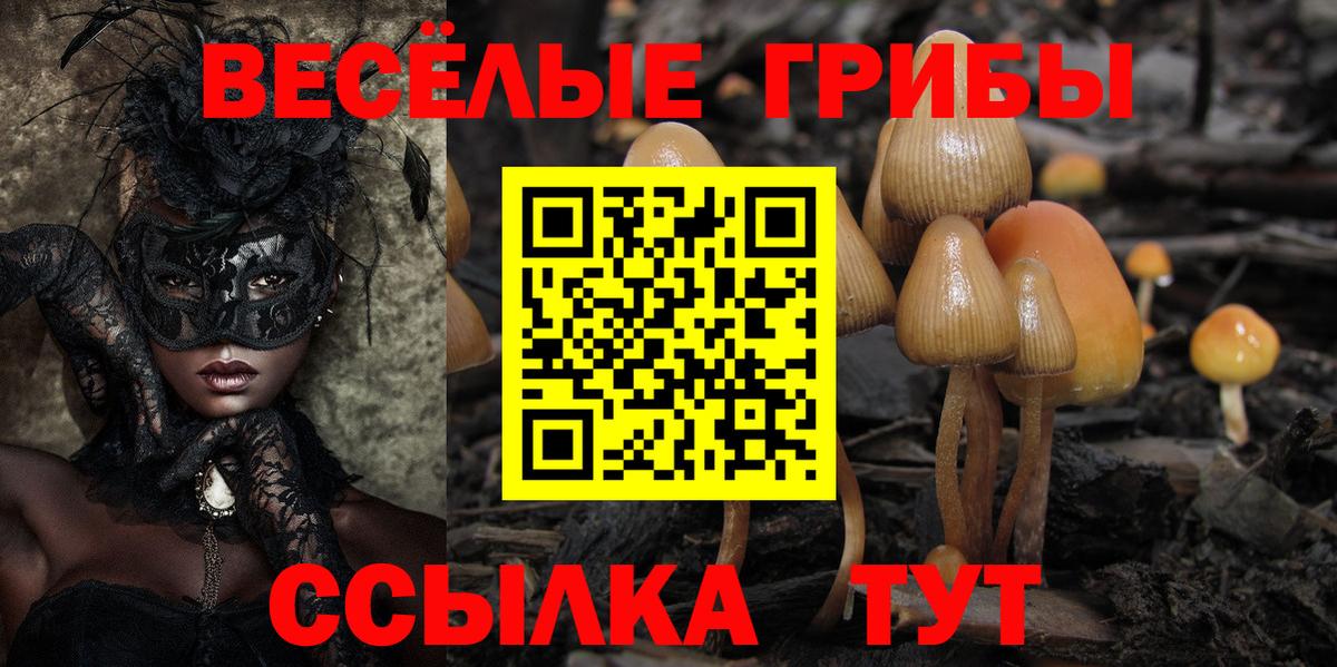 Псилоцибиновые грибы ЛСД  Галлюциногенные грибы мицелий  Вход с VPN  Дубна 